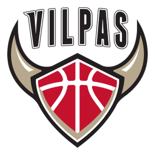 Salon Vilpas Vikings