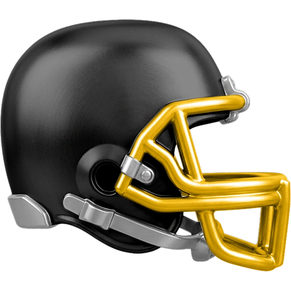 PIT Steelers